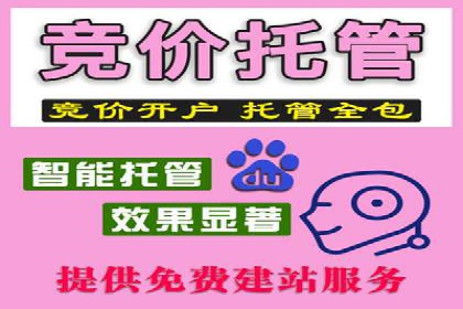 探索sem账户托管的最佳实践与案例